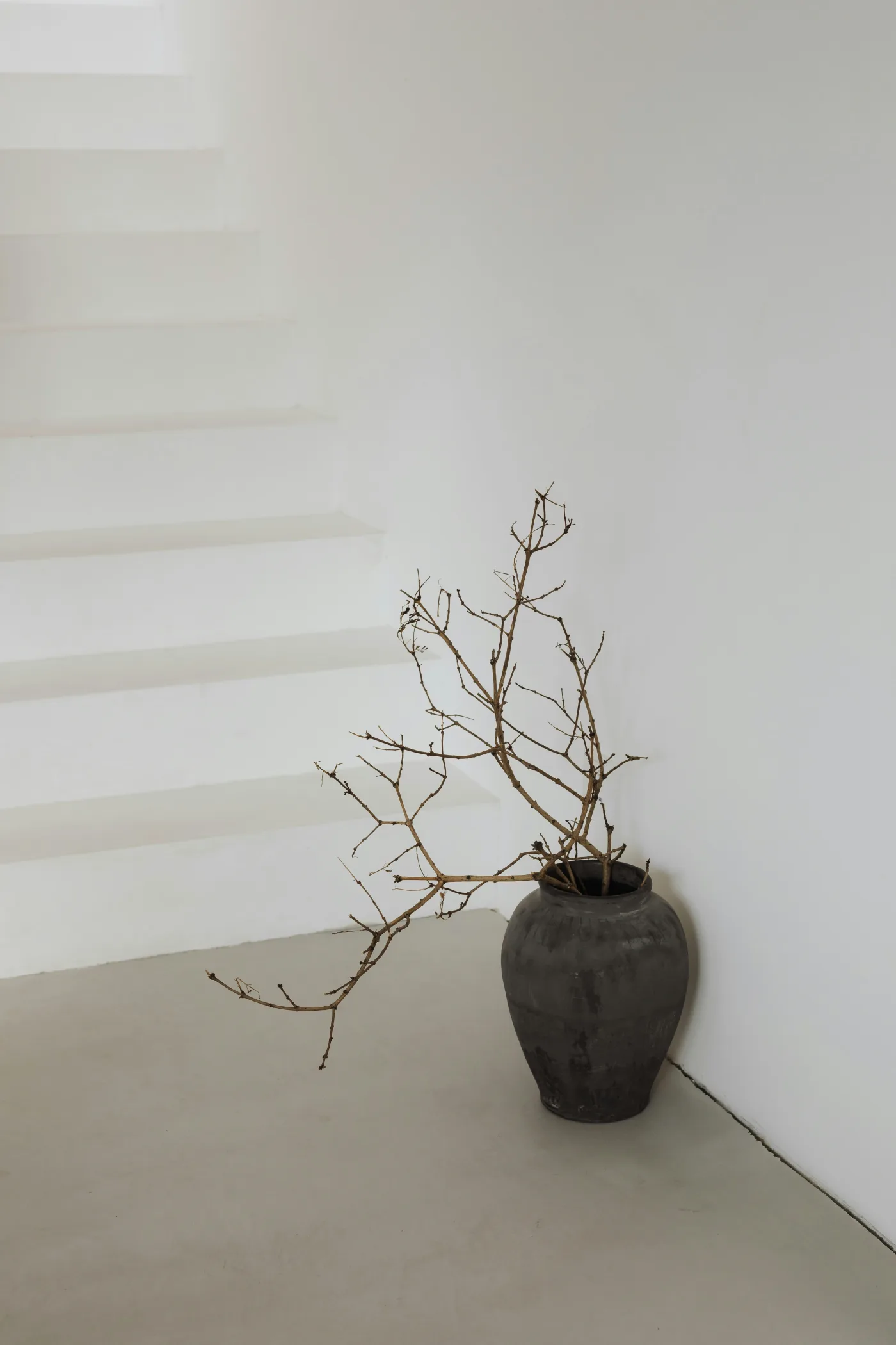 A quiet tropical architectural space with soft light and a minimal natural palette