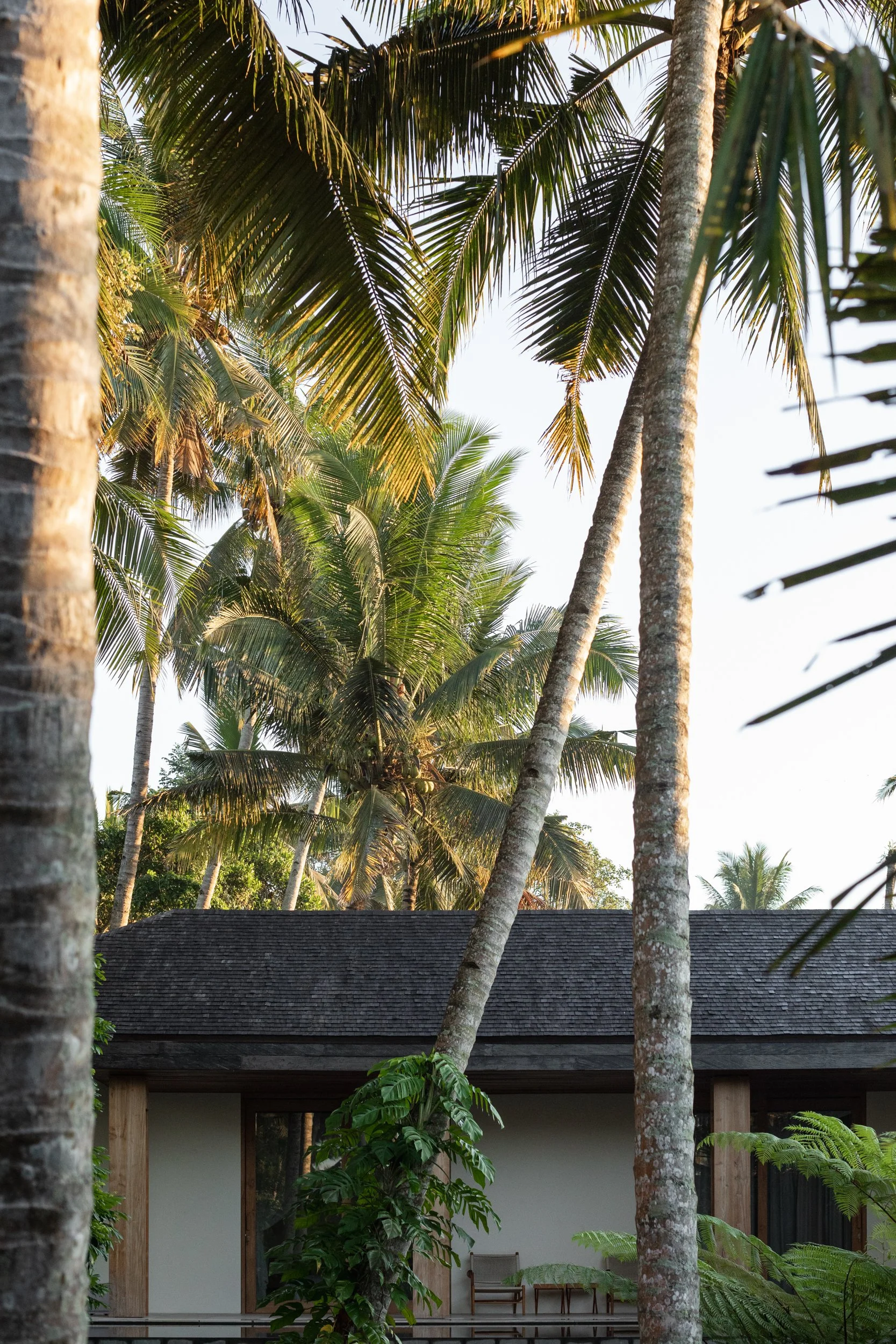 Natural timber and softly textured plaster within Pejeng House