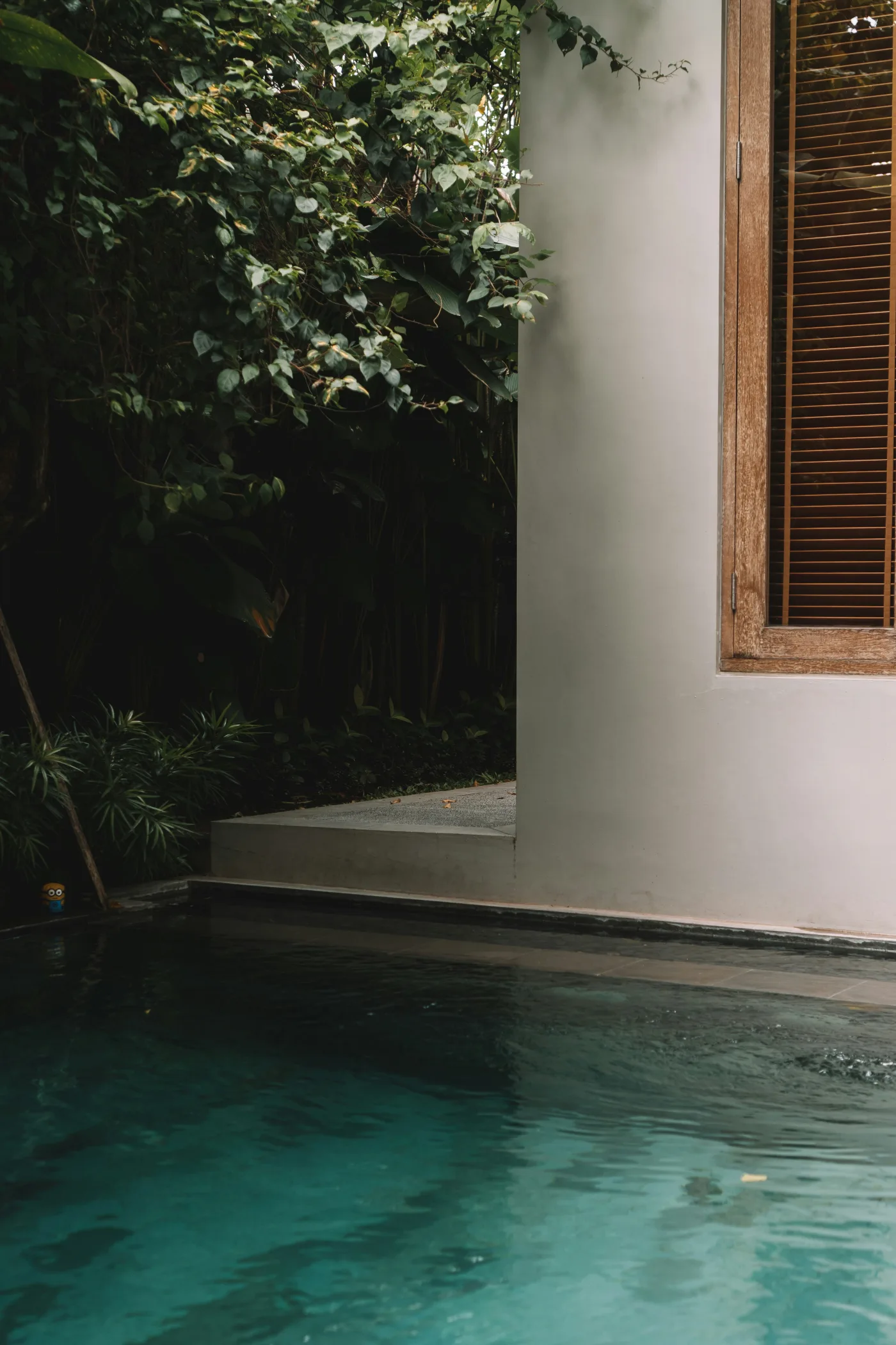 Small tropical courtyard with planting, water, plaster wall and timber shutters