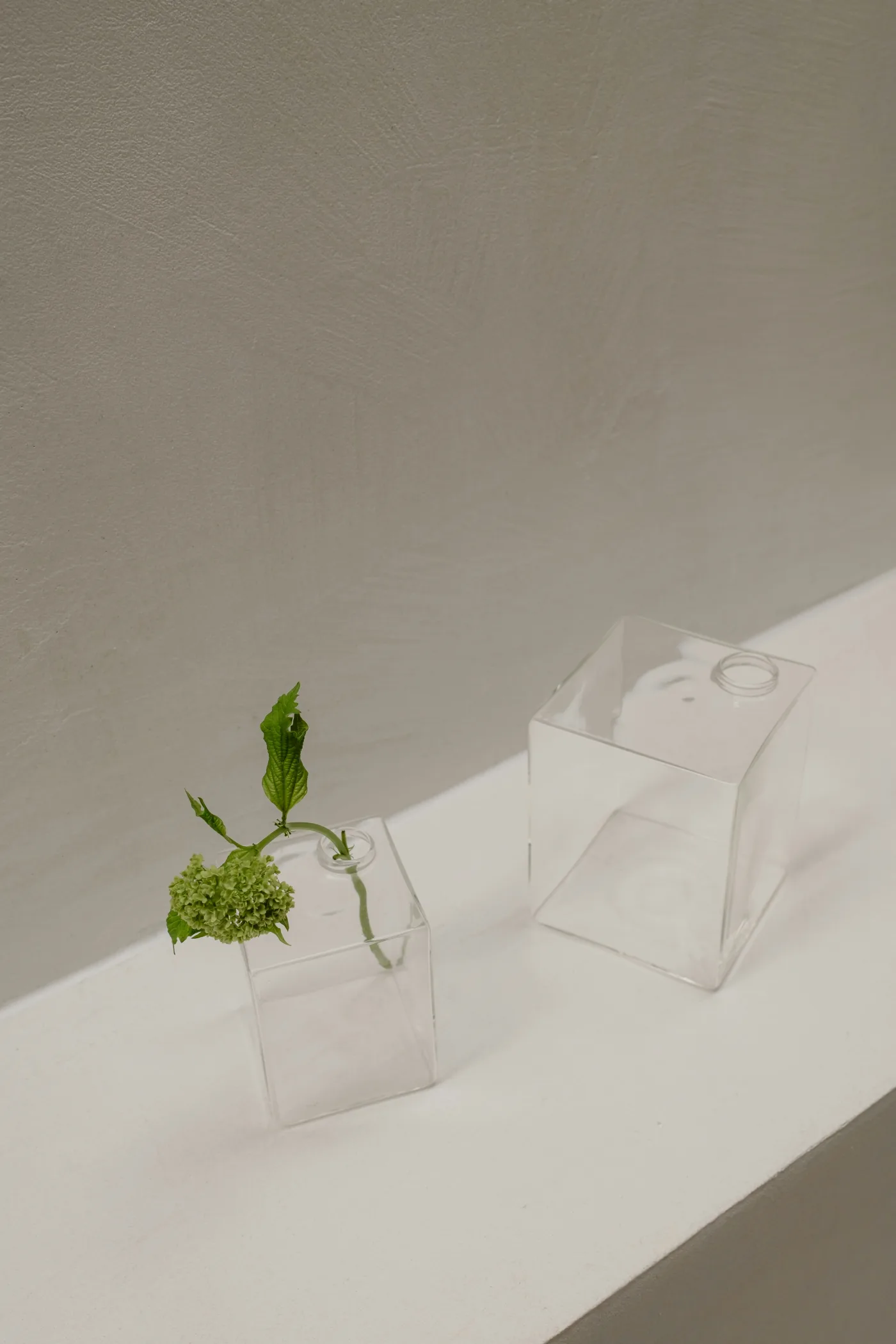 Multiple bud vases arranged together with delicate tropical cuttings