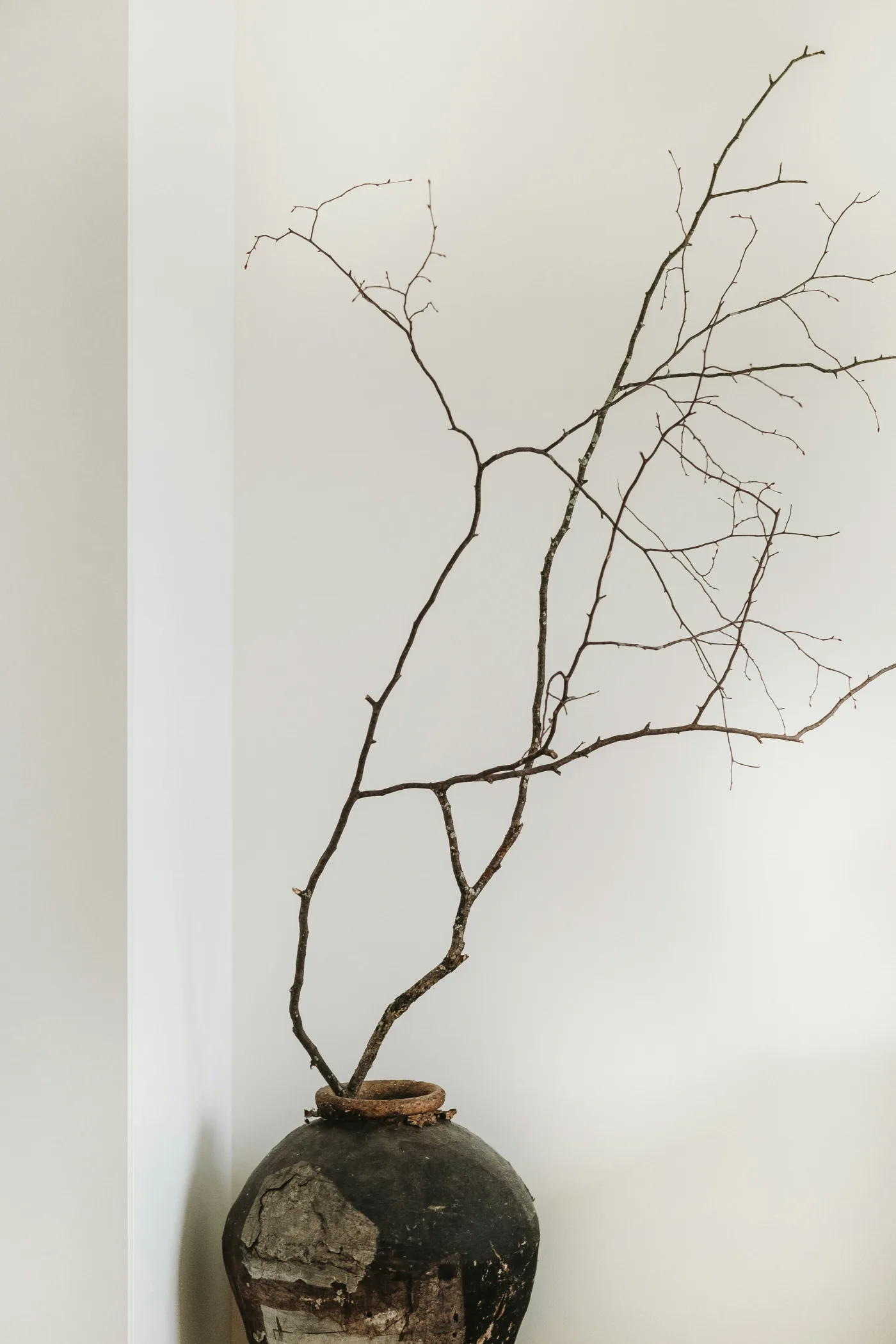A large statement object styled simply in a tropical minimal home