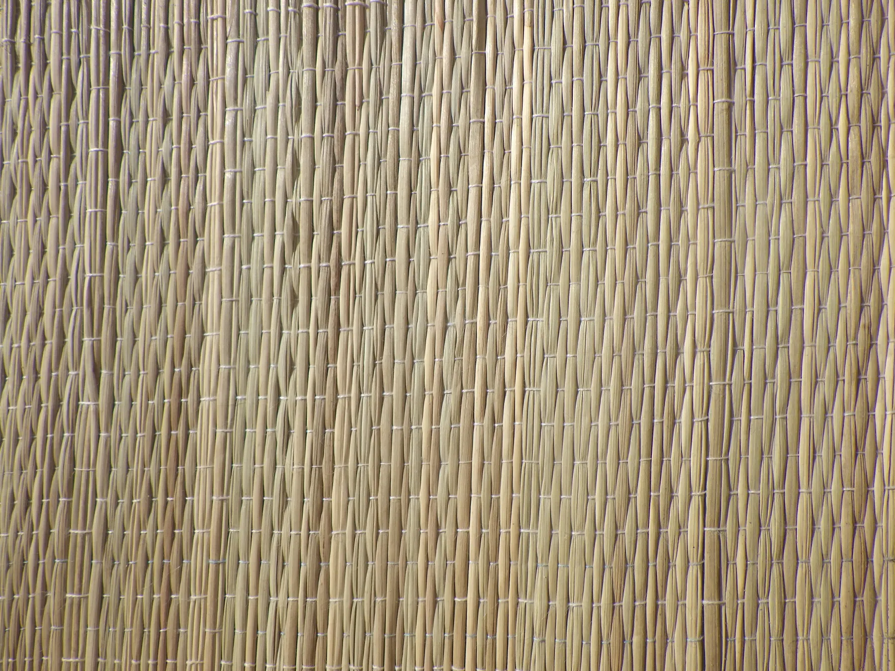 A woven reed screen filtering tropical light while allowing airflow
