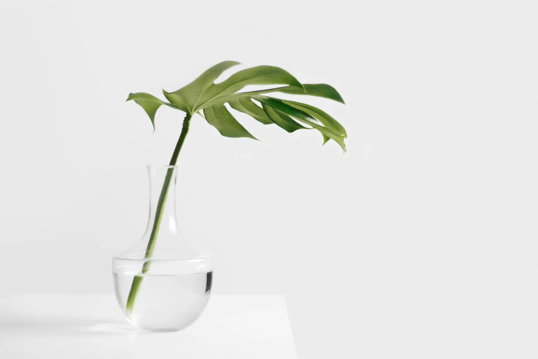 Restrained tropical minimal styling with handmade objects, natural texture, and open space
